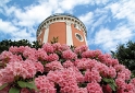 WTL-IMG_1274.jpgWuppertal 
